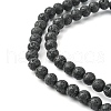 Natural Lava Rock Beads Strands G-YW0002-07-1