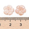 Natural Pink Shell Carved Beads SSHEL-I026-12B-02-3