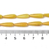 Natural Freshwater Shell Beads Strands SHEL-A004-03D-4