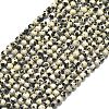 Natural Dalmatian Jasper Beads Strands G-A260-A10-01-2