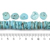Dyed Natural Magnesite Beads Strands G-V003-01-5
