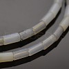 Column Natural Grey Agate Beads Strands G-N0153-52-1