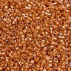 MIYUKI Delica Beads SEED-X0054-DB1702-3
