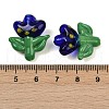Handmade Lampwork Beads LAMP-S070-04B-4
