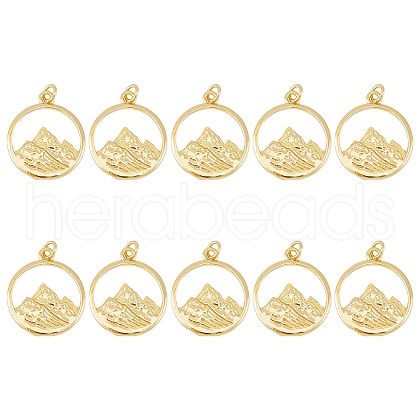HOBBIESAY 10Pcs Brass Pendants KK-HY0002-96-1