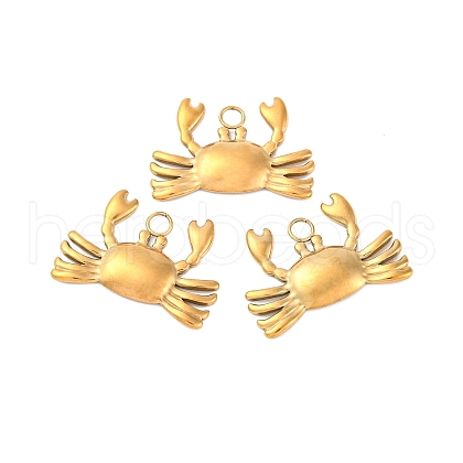 Ion Plating(IP) 304 Stainless Steel Pendants STAS-E182-08G-1