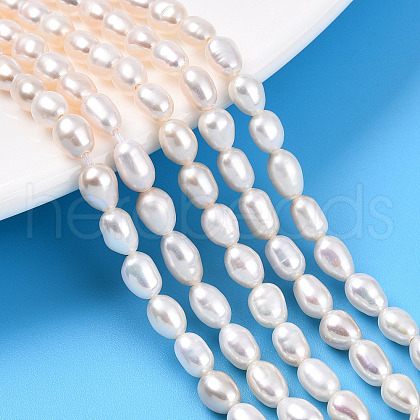 Natural Cultured Freshwater Pearl Beads Strands PEAR-N012-04T-1
