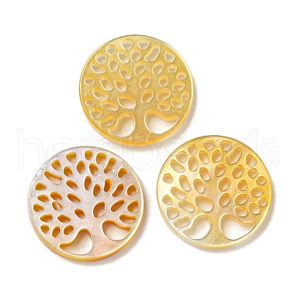 Natural Yellow Shell Cabochons SSHEL-N038-02C-1