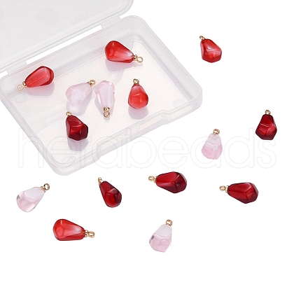 15Pcs 3 Colors Resin Pendants RESI-CJ0001-129-1