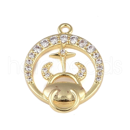 Brass Micro Pave Clear Cubic Zirconia Pendants FIND-B077-02G-10-1