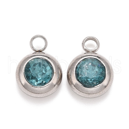 304 Stainless Steel Charms STAS-G133-13I-1