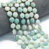 Natural Flower Amazonite Beads Strands G-C116-A104-01-1