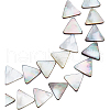 BENECREAT 1 Strand Natural Black Lip Shell Bead Strands SHEL-BC0001-012-1