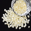 8/0 Two Cut Glass Seed Beads SEED-S033-07A-02-1