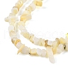 Natural Freshwater Shell Beads Strands BSHE-G036-02-3