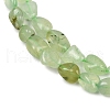 Natural Prehnite Beads Strands G-R445-8x10-25-01-3
