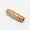 Natural Fossil Coral Beads G-P076-30-2