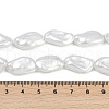 Electroplate Porcelain Imitation Pearl Beads Strands BSHE-Z009-01B-5