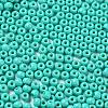 Baking Paint Glass Seed Beads SEED-H002-I-B507-3