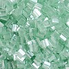 MIYUKI TILA Beads X-SEED-J020-TL370-2