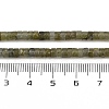 Natural Labradorit Beads Strands G-H230-78-5
