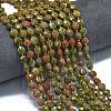 Natural Unakite Beads Strands G-K389-B55-01-2