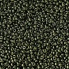 MIYUKI Round Rocailles Beads X-SEED-G007-RR0306-3