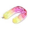 Resin Pendant FIND-Q107-01U-03-2