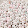 Baking Paint Glass Seed Beads X1-SEED-F006-01A-14-3