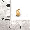 304 Stainless Steel Micro Pave Cubic Zirconia Pendants STAS-R167-01A-G-3