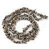 Natural Dalmatian Jasper Beads Strands X-G-G0003-B29-3
