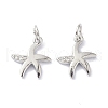 Brass Micro Pave Cubic Zirconia Charms ZIRC-C022-24P-1