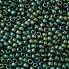 TOHO Round Seed Beads X-SEED-TR08-0710-2