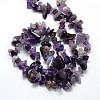 Natural Amethyst Beads Strands X-G-O049-C-48-2