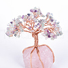 Natural Fluorite Chips and Rose Quartz Pedestal Display Decorations G-S282-04-2