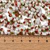 Baking Painted Glass Seed Beads SEED-C004-03G-4