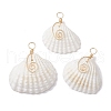 Natural Ark Shell Copper Wire Wrapped Pendants PALLOY-JF02678-01-1