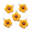 Resin Pendants RESI-C002-09-3