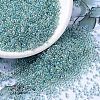 MIYUKI Round Rocailles Beads X-SEED-G007-RR0263-1