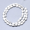 Natural Howlite Beads Strands G-S357-B13-2