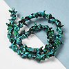 Synthetic Turquoise Dyed Beads Strands G-P507-04B-2