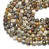 Natural Gobi Agate Beads Strands G-K389-B72-01-3