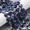 Natural Lapis Lazuli Beads Strands G-P570-E12-01-1