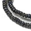 Dyed Natural Freshwater Shell Beads Strands BSHE-G039-07M-3