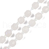 Electroplated Natural White Moonstone Beads Strands G-O201B-132F-2
