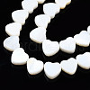 Natural Freshwater Shell Beads Strands SHEL-N026-152-3