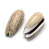 Spiral Shell Pendants SSHEL-Q299-013-2