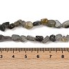 Natural Labradorite Beads Strands G-Q060-D02-5
