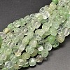 Watermelon Stone Glass Beads Strands G-P092-35-1
