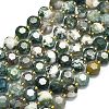 Natural Tree Agate Beads Strands G-C116-A150-01-2